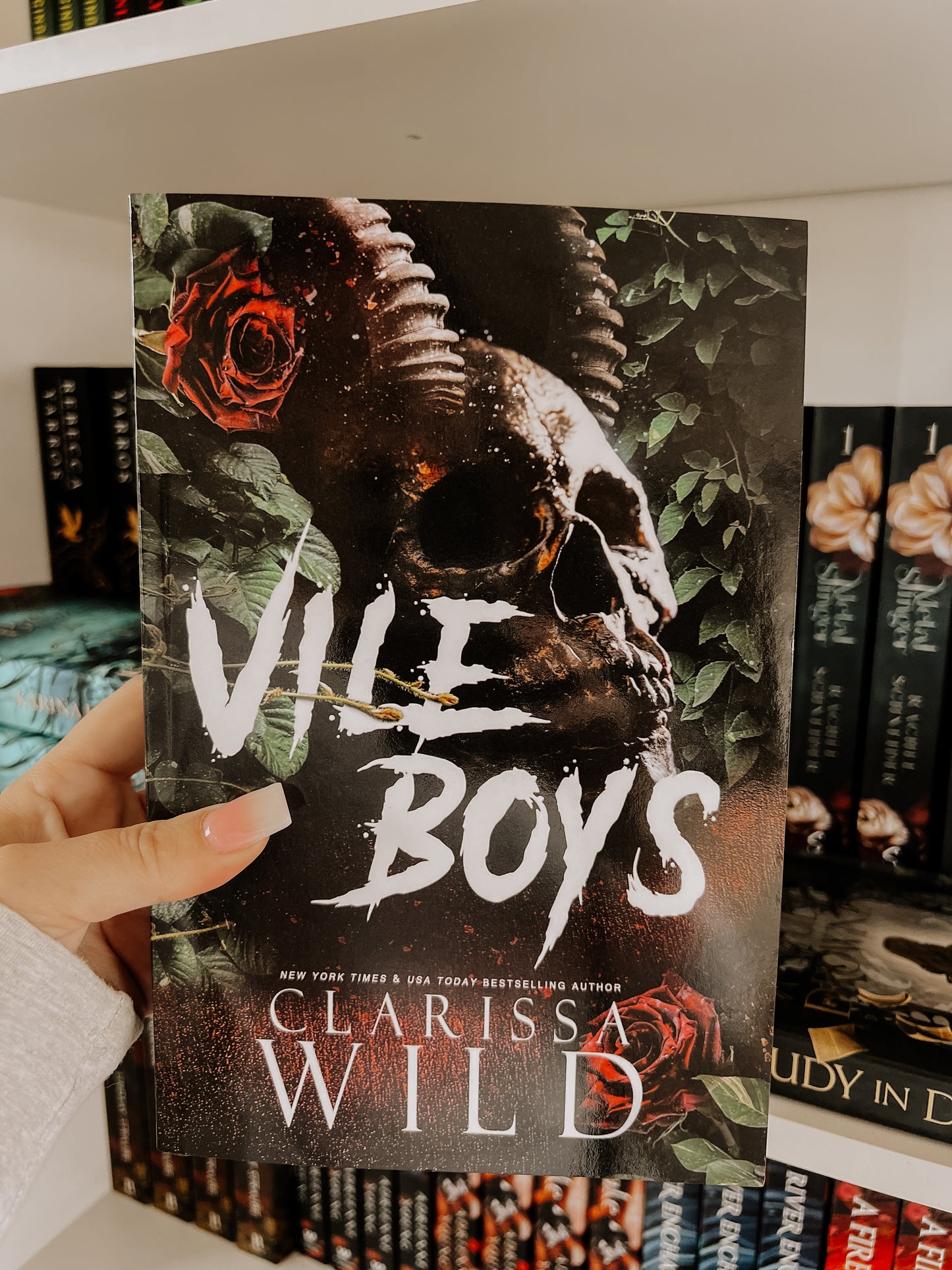 Vile Boys (Spine Ridge University Book 3)