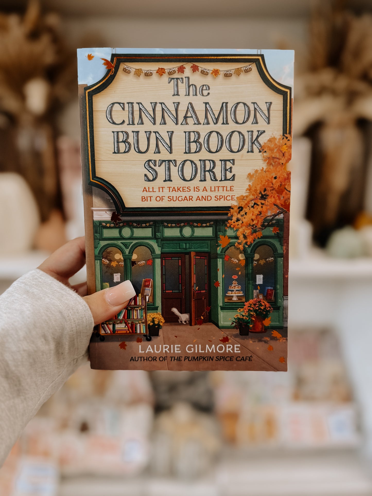 The Cinnamon Bun Book Store (Dream Harbor, Book 2)