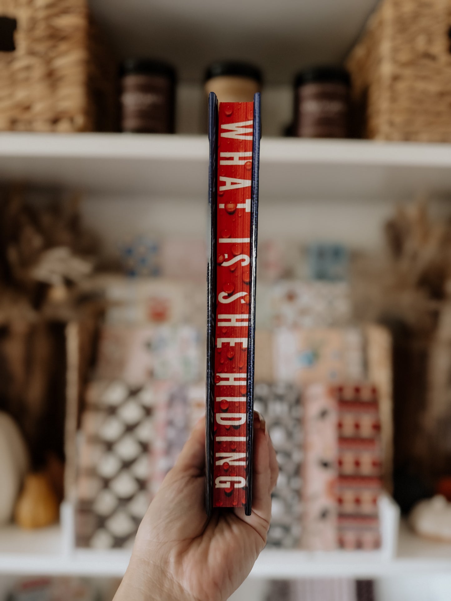 The Intruder(Hardcover)