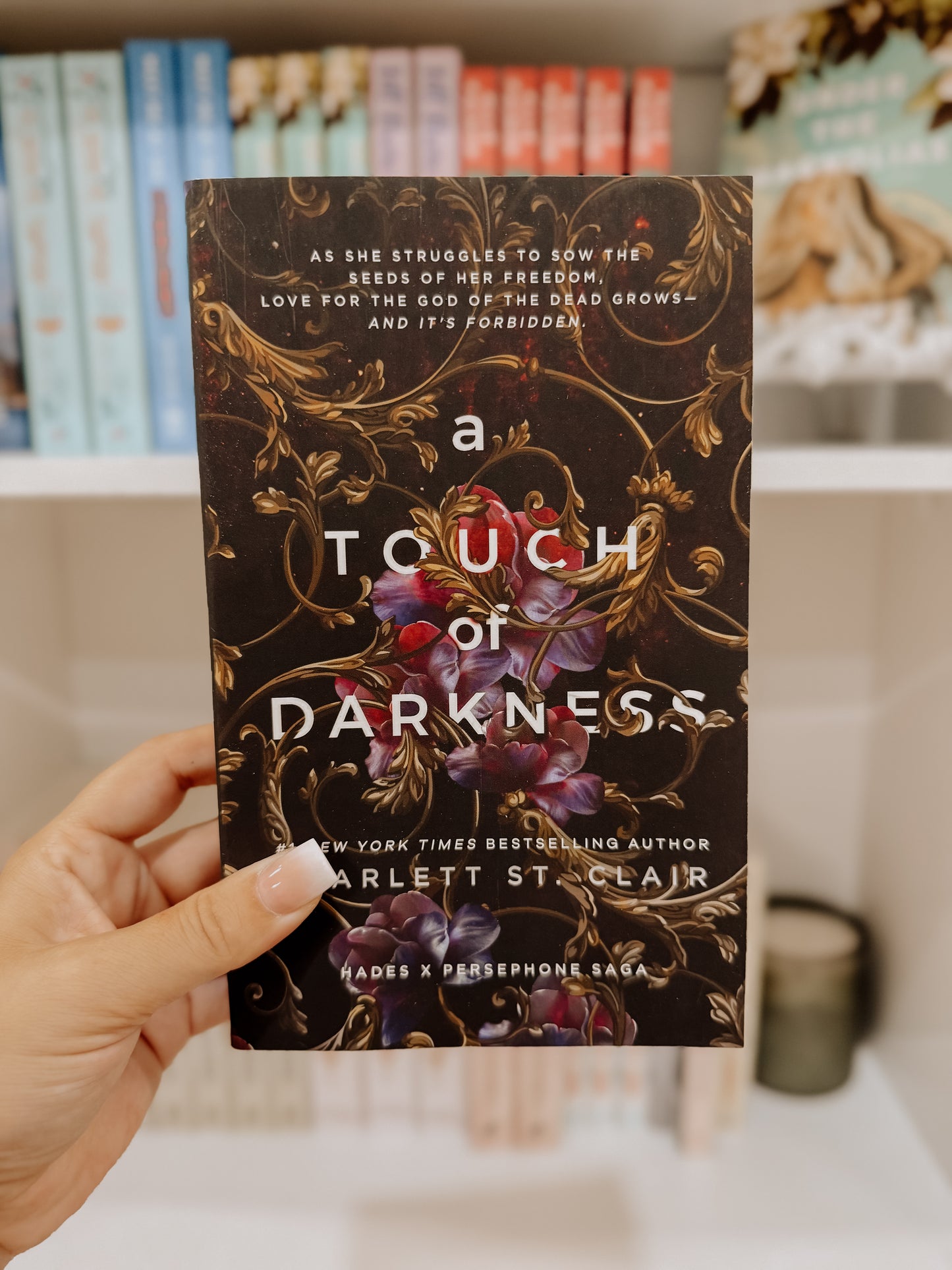 A Touch of Darkness ( Hades x Persephone Sage Book 1)