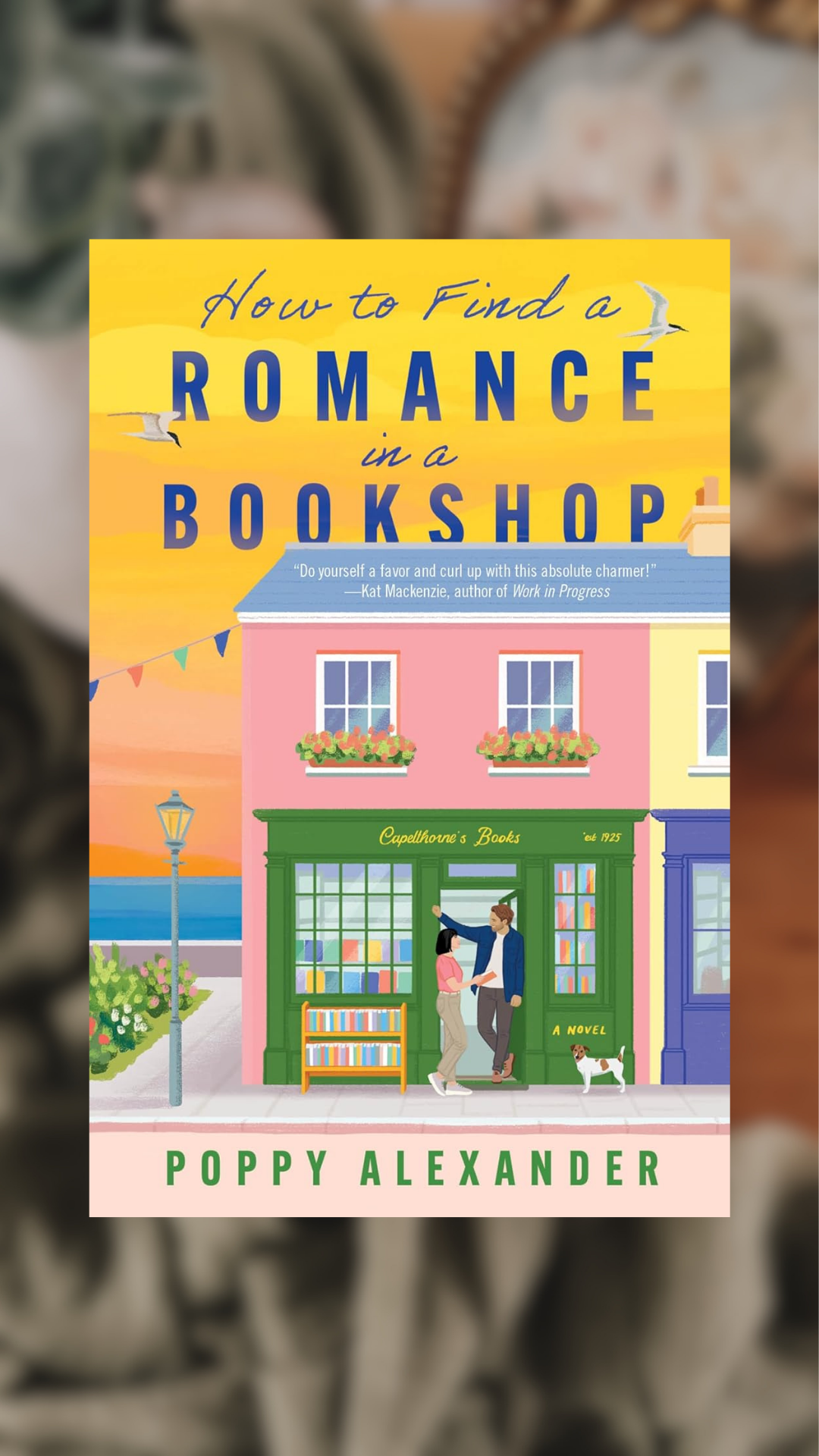How To Find Romance In A Bookshop-PREORDER