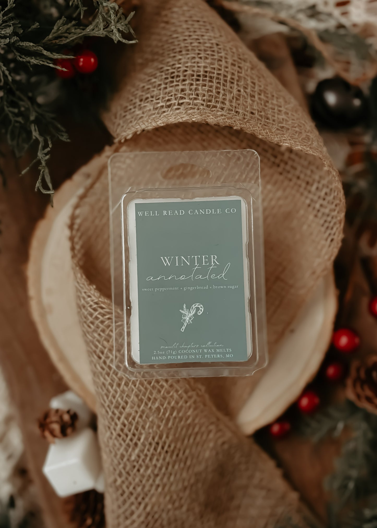 Winter Annotated Wax Melts