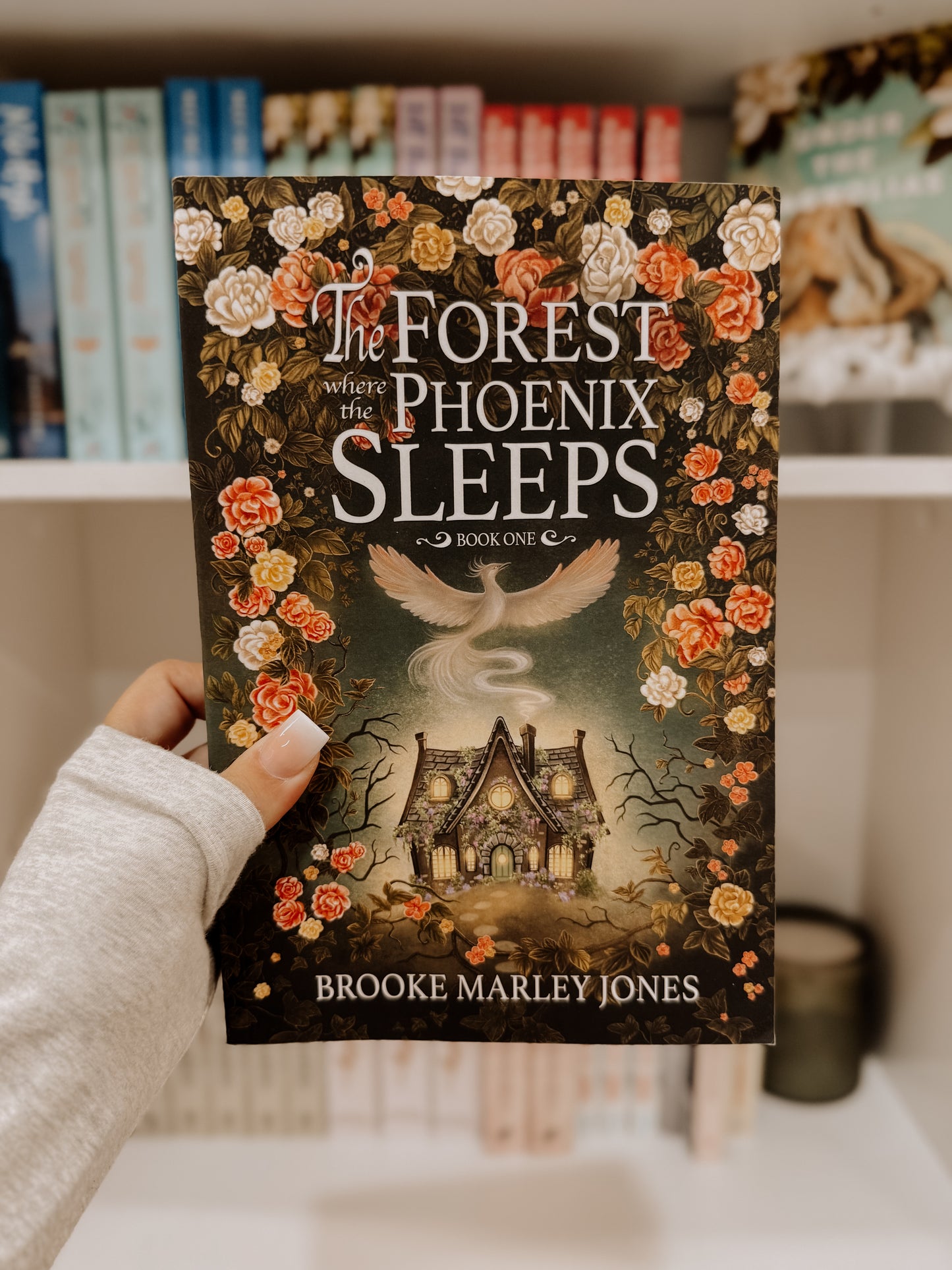 The Forest Where the Phoenix Sleeps